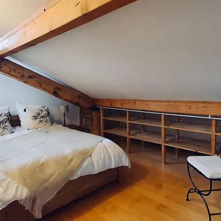 L’appart Du Pâquier Appartement Annecy